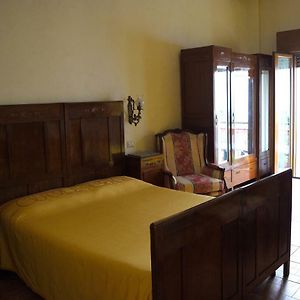B&B Animali Selvaggi